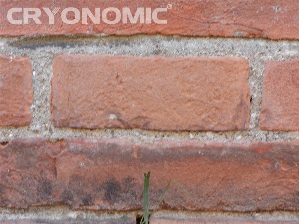 Graffiti and paint removal